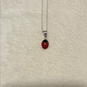 Red and Black Ladybug Pendant Necklace